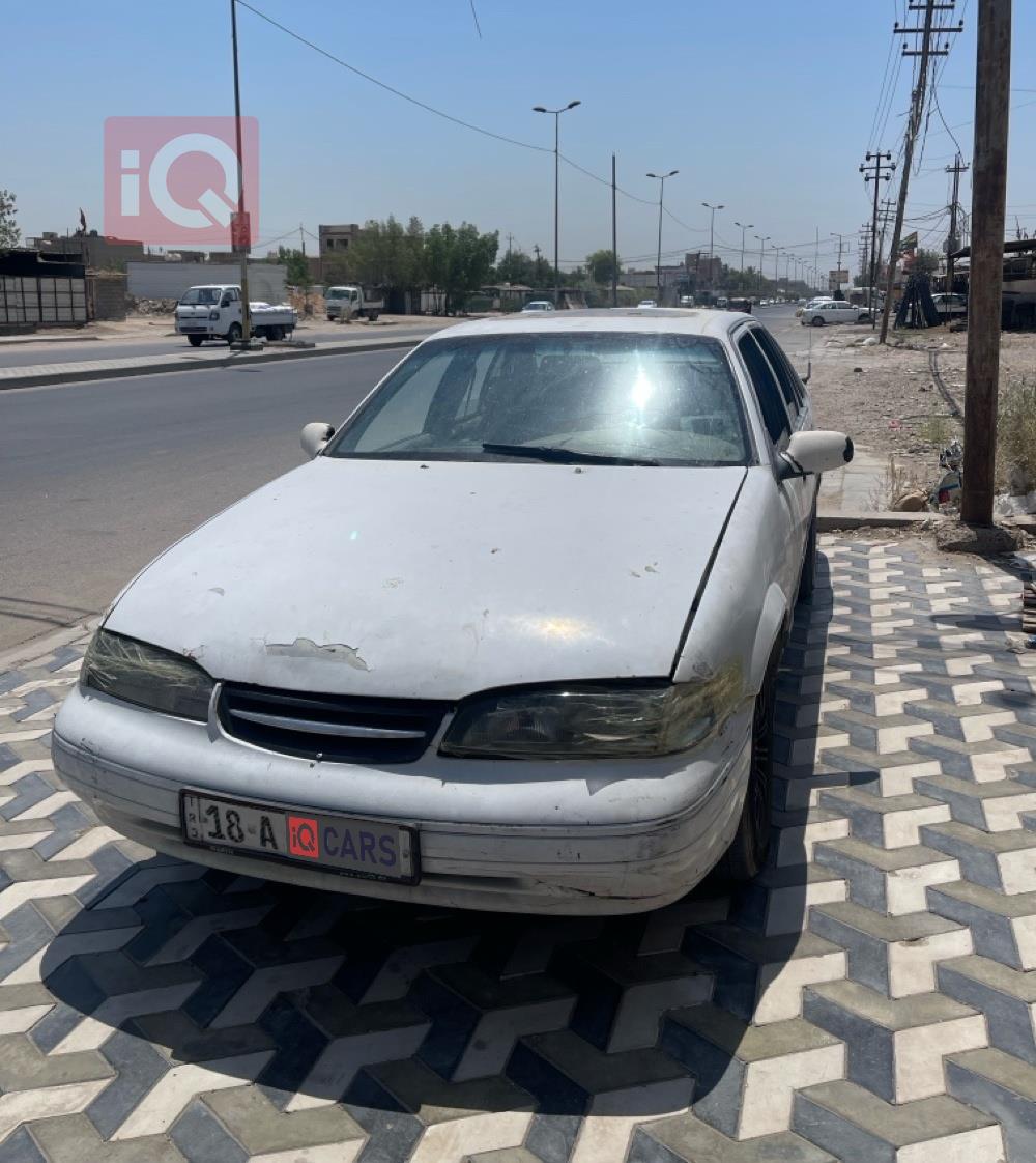 دايو برنس